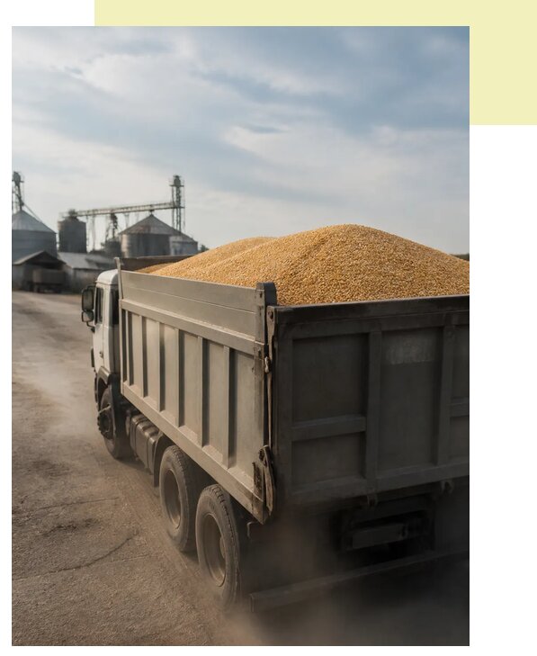Перевозка сельхозпродукции навалом в Самару по цене от 3032 р. | Агросервис-Смр